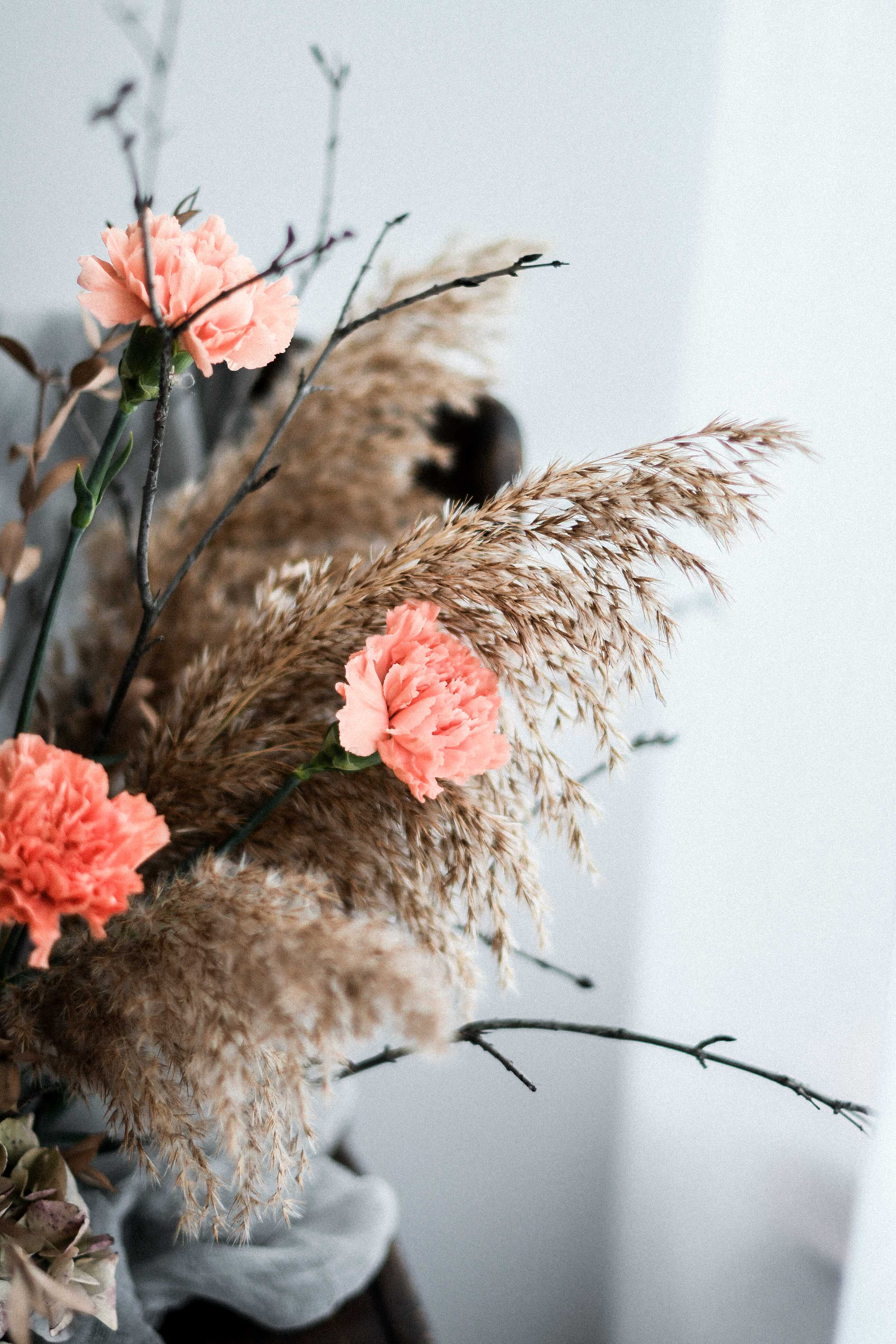 floral carnation dianthus bouquet photography