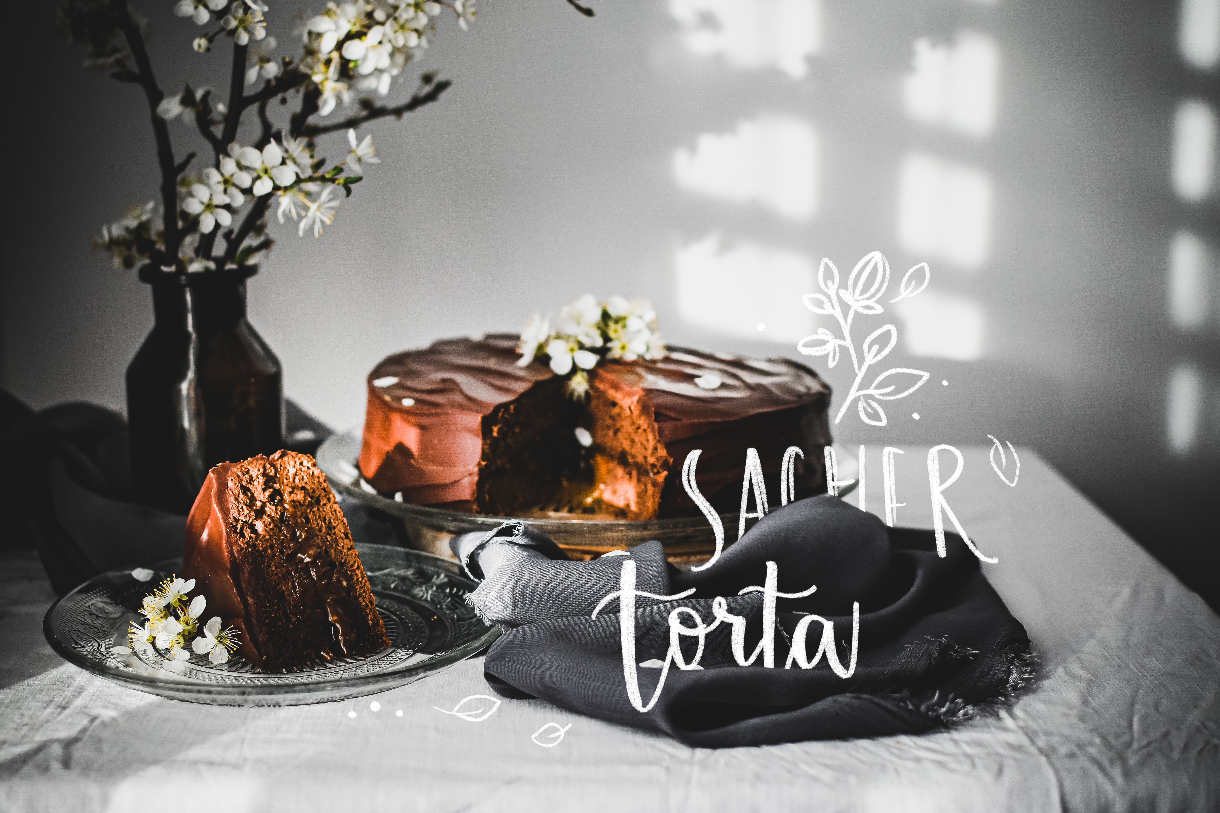 sacher cake photography torta