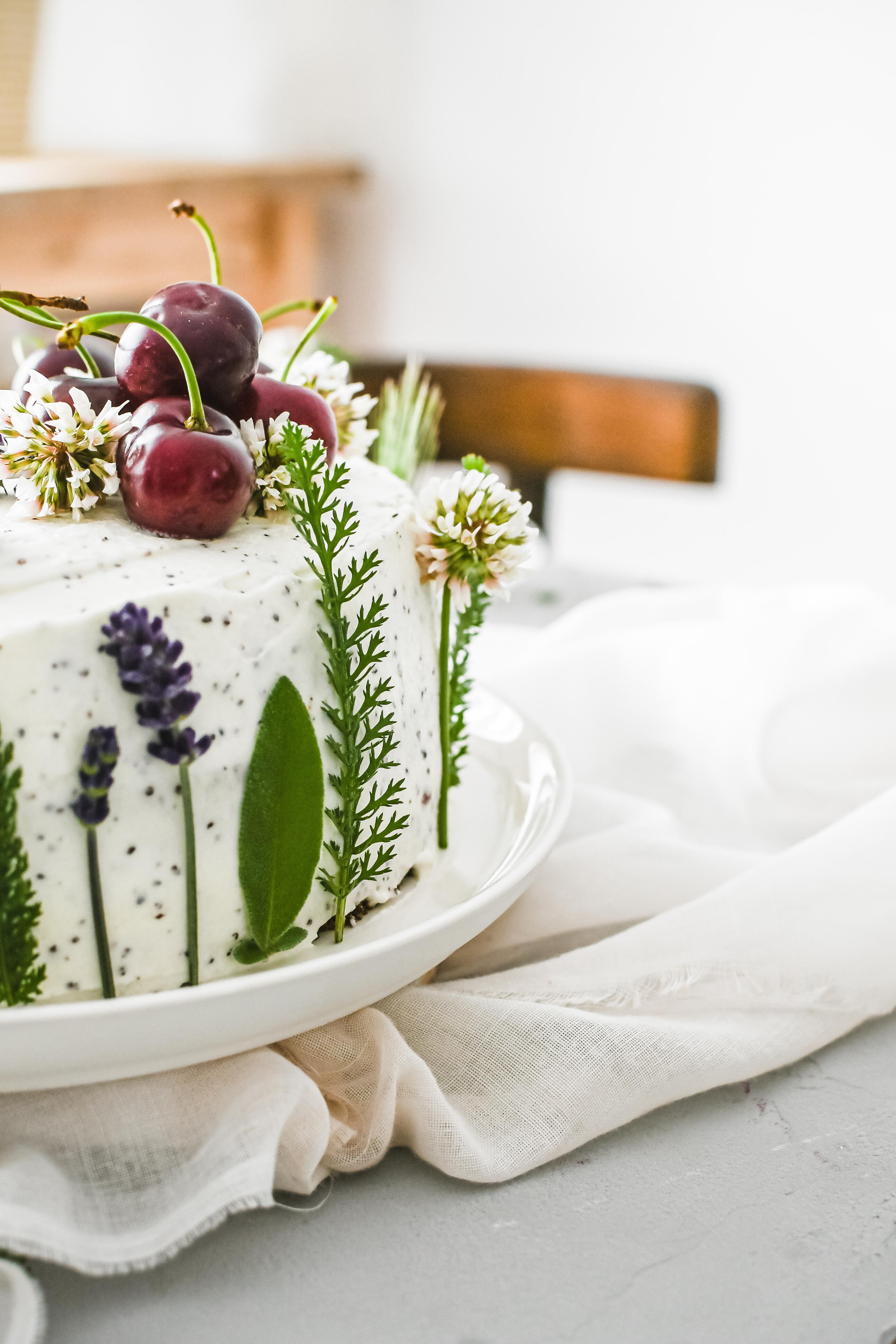makova torta poppy seed cake photography