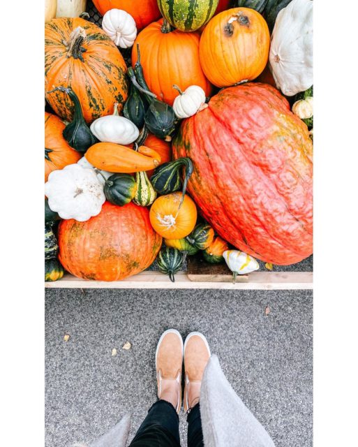 Oktober bol masaker. November bud lepsi 🙏🍂🧡 
.
#pumpkinseason #oktober #october #halloweendecor #halloween #fallphotography #jesen #jesennedekoracie #tekvice #orangeaesthetic #pumpkinsandgourds #gourdseason #gourds #vansslipon #vansgirl #fallseason