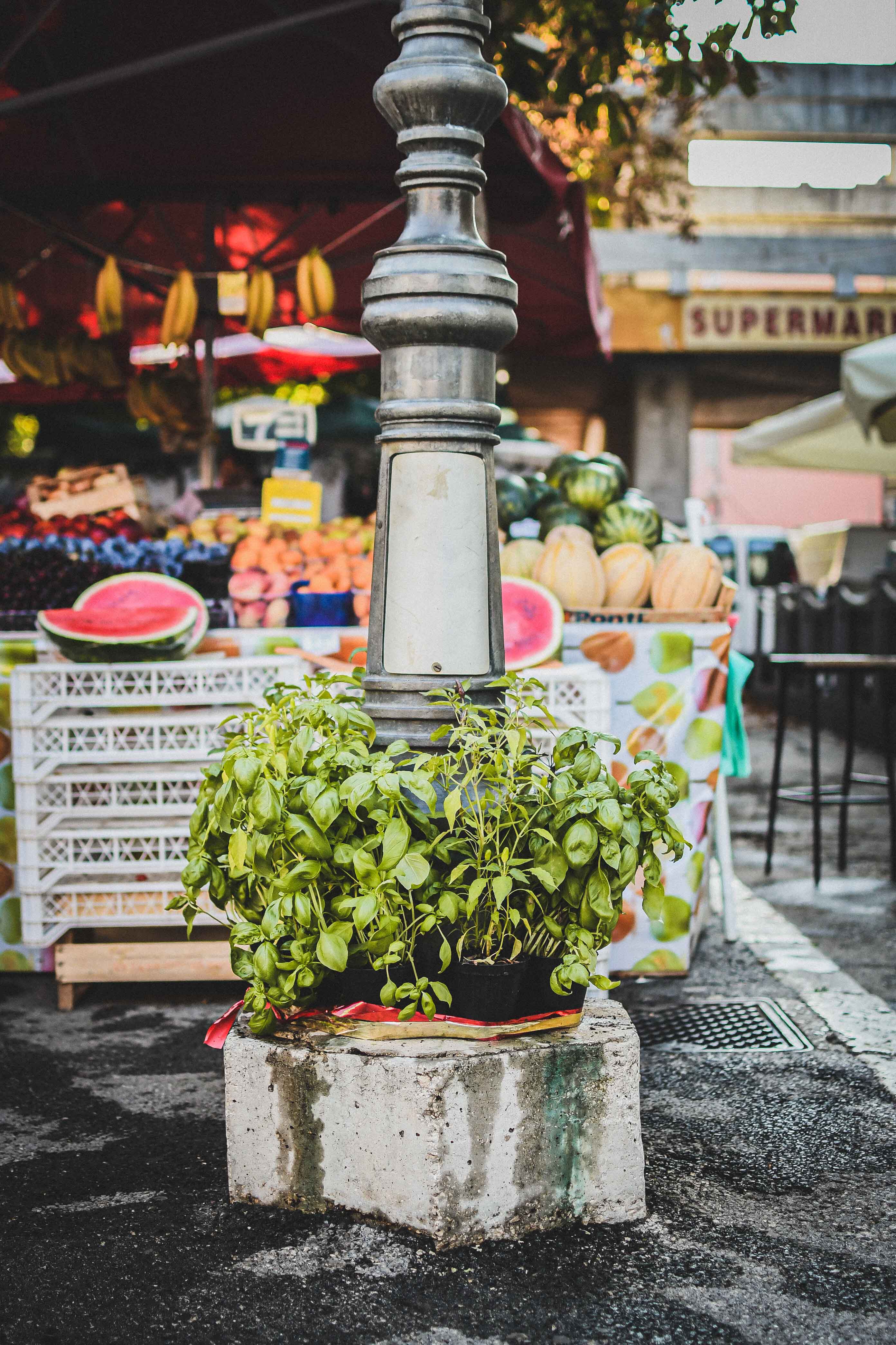 croatia pula market