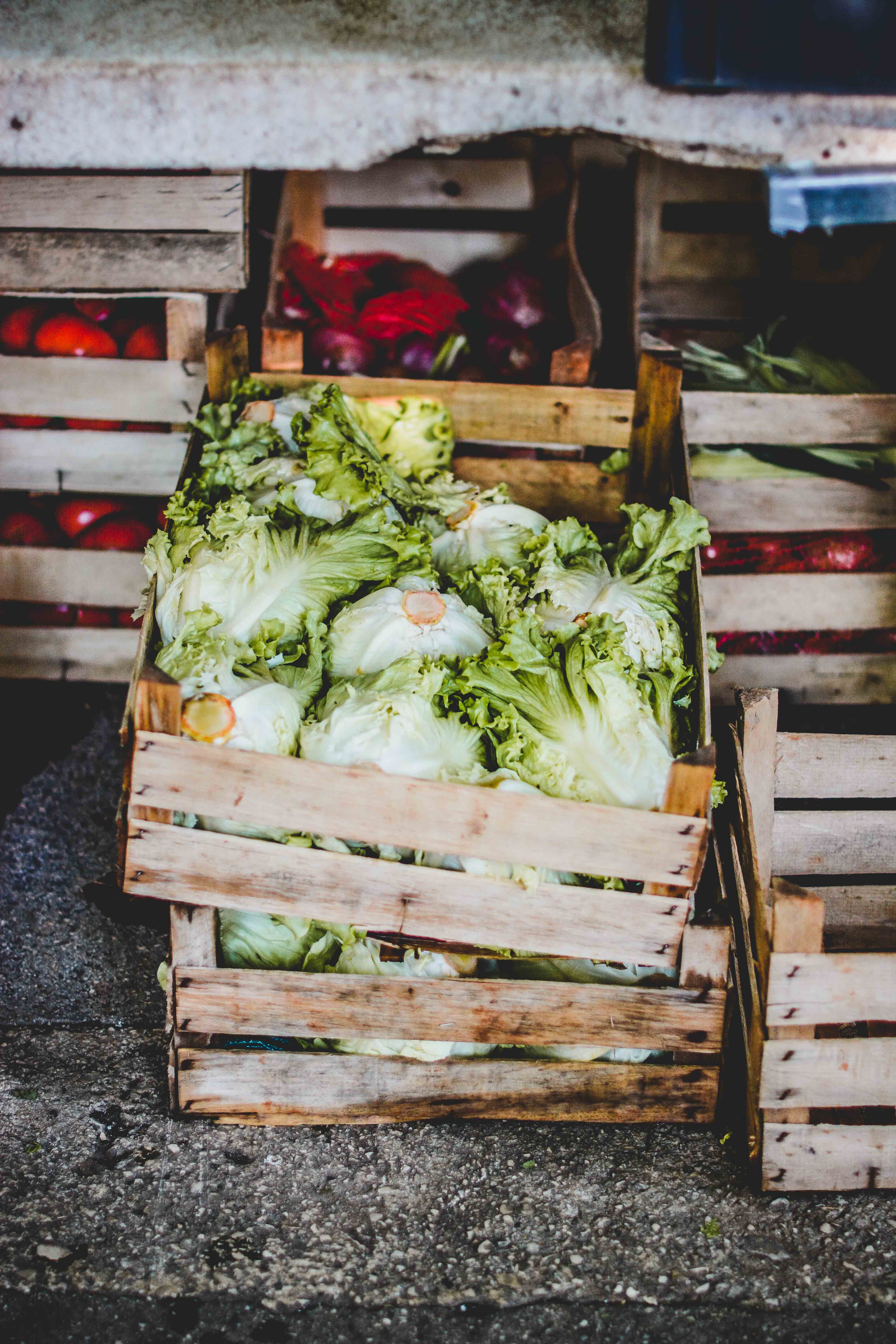 croatia pula market