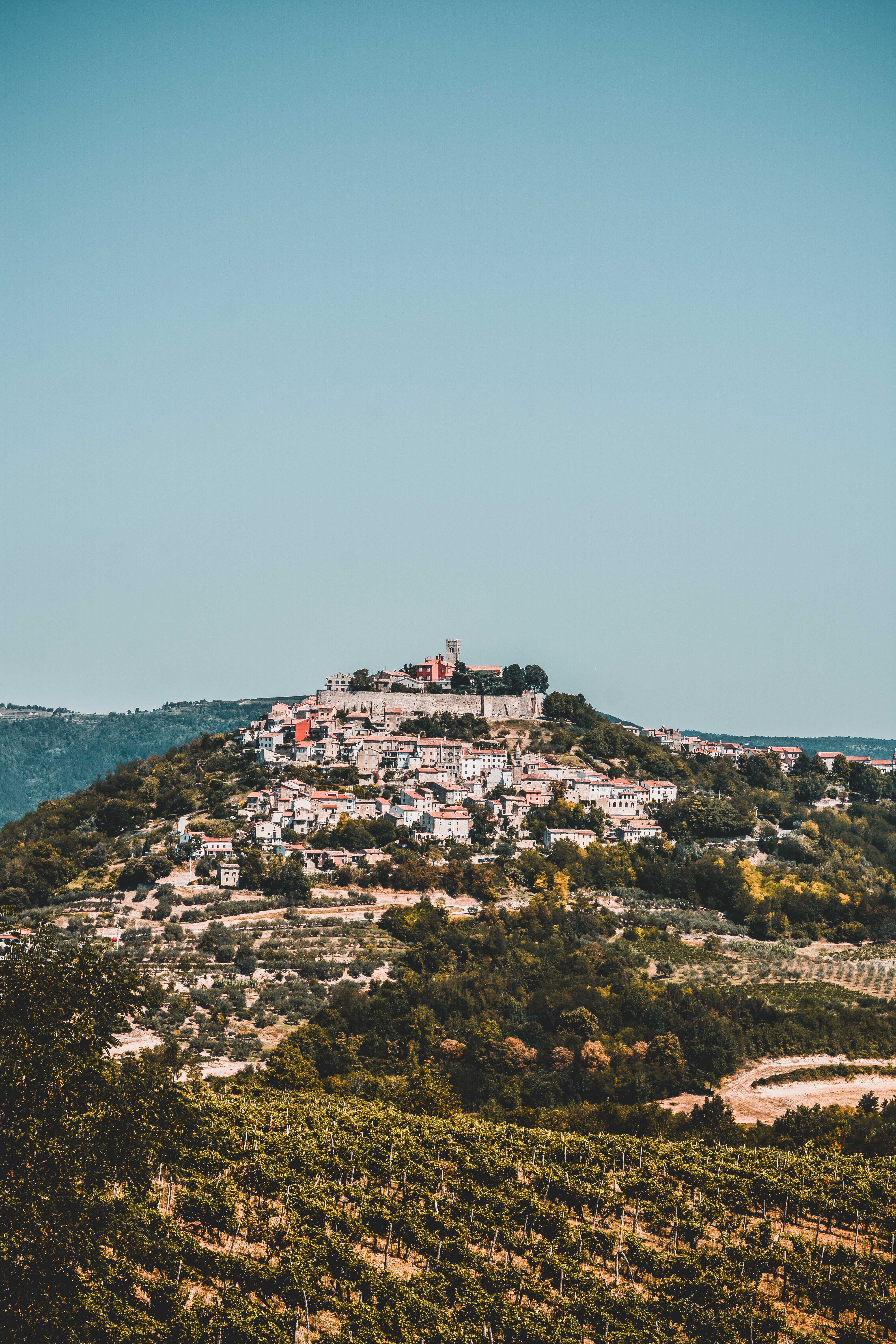 motovun istria