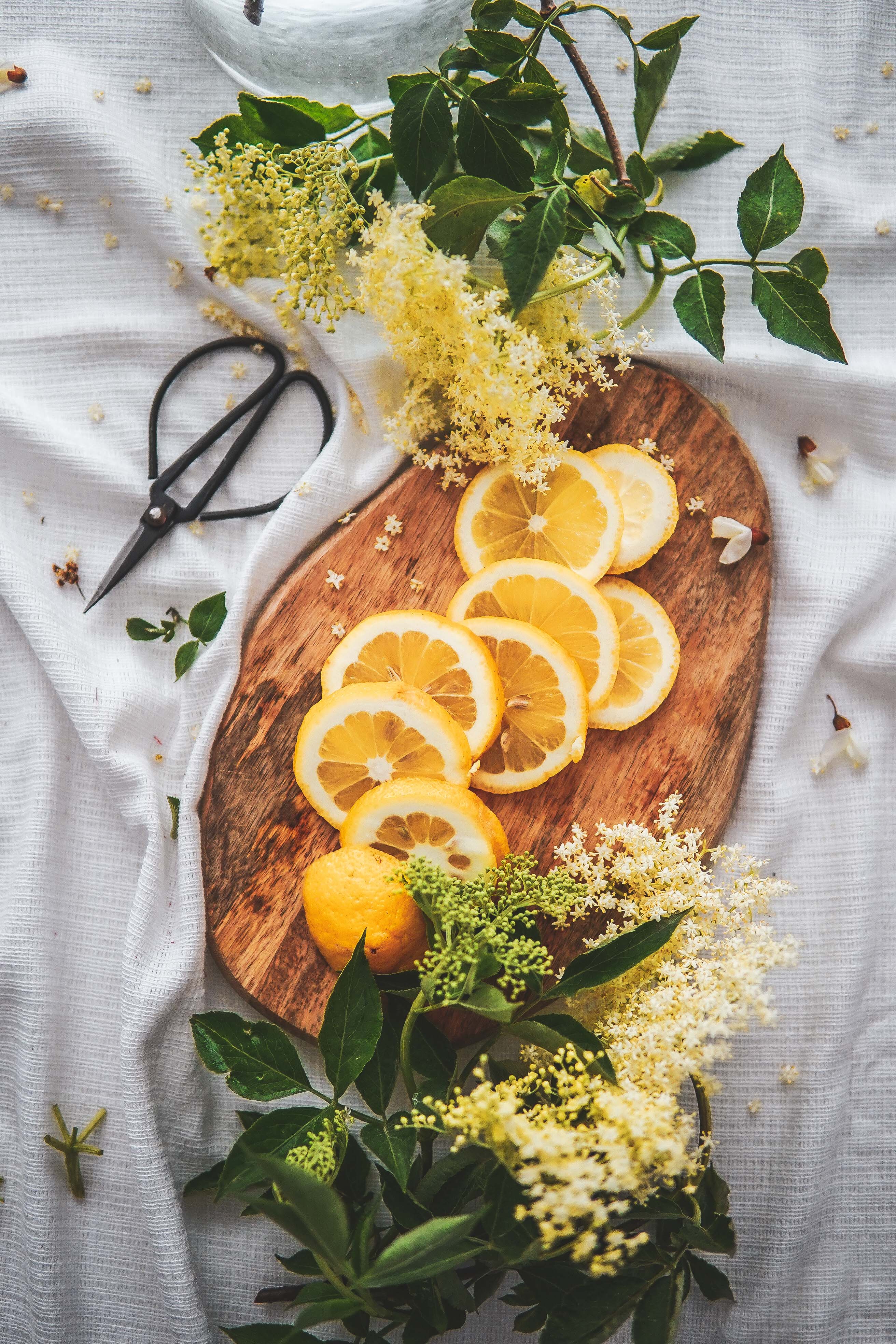 elderflower syrup bazový sirup photography