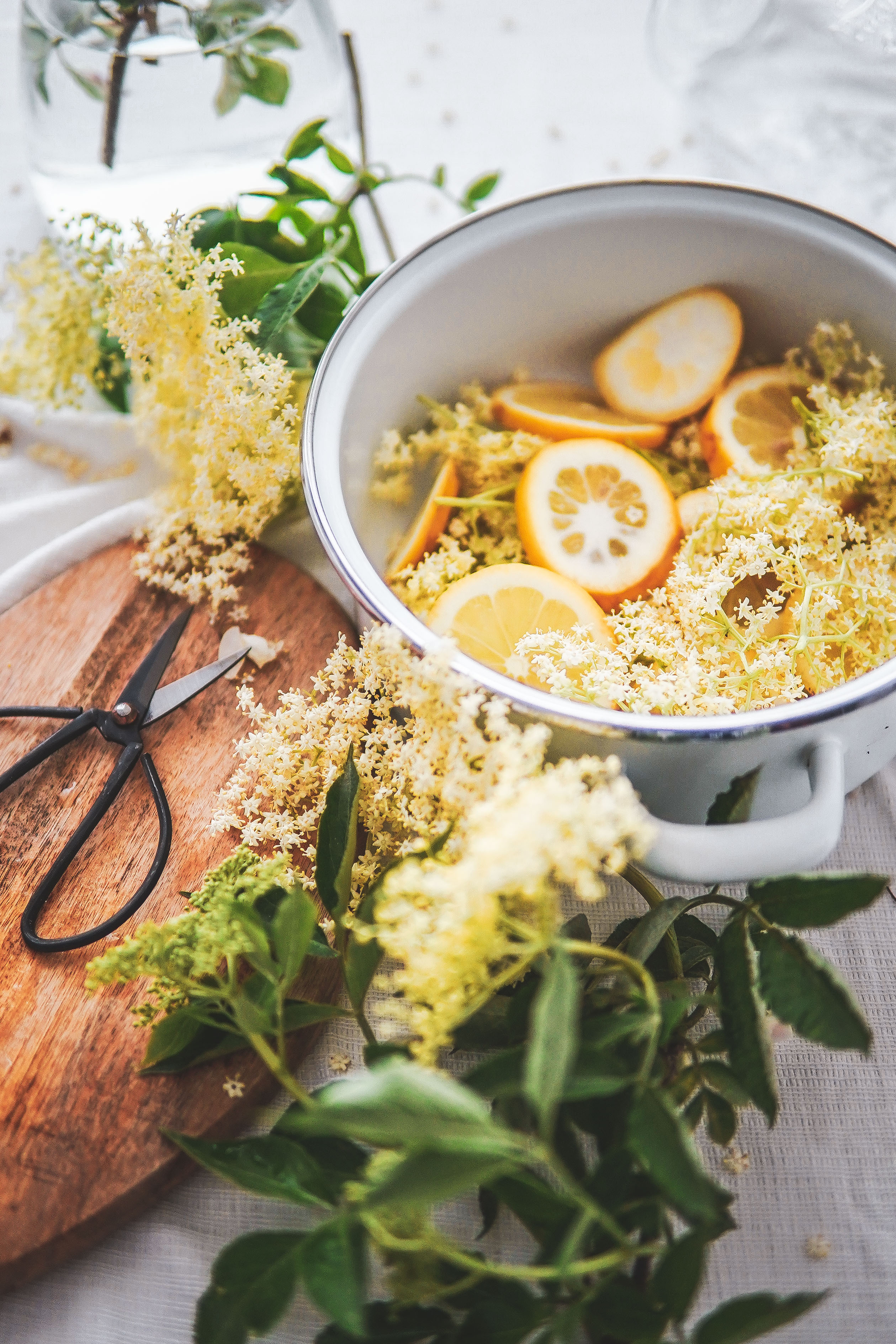 elderflower syrup bazový sirup photography