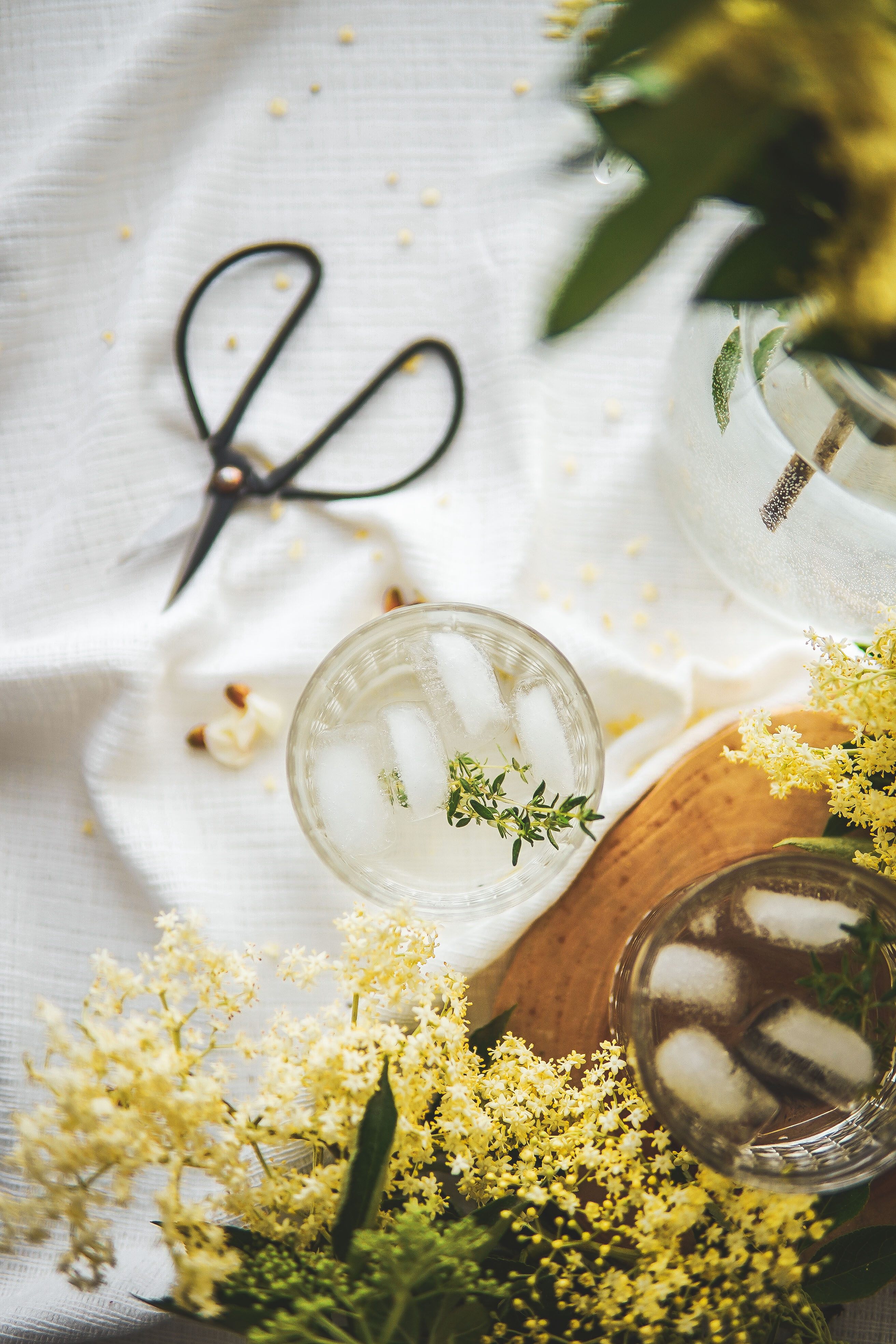 elderflower syrup bazový sirup photography