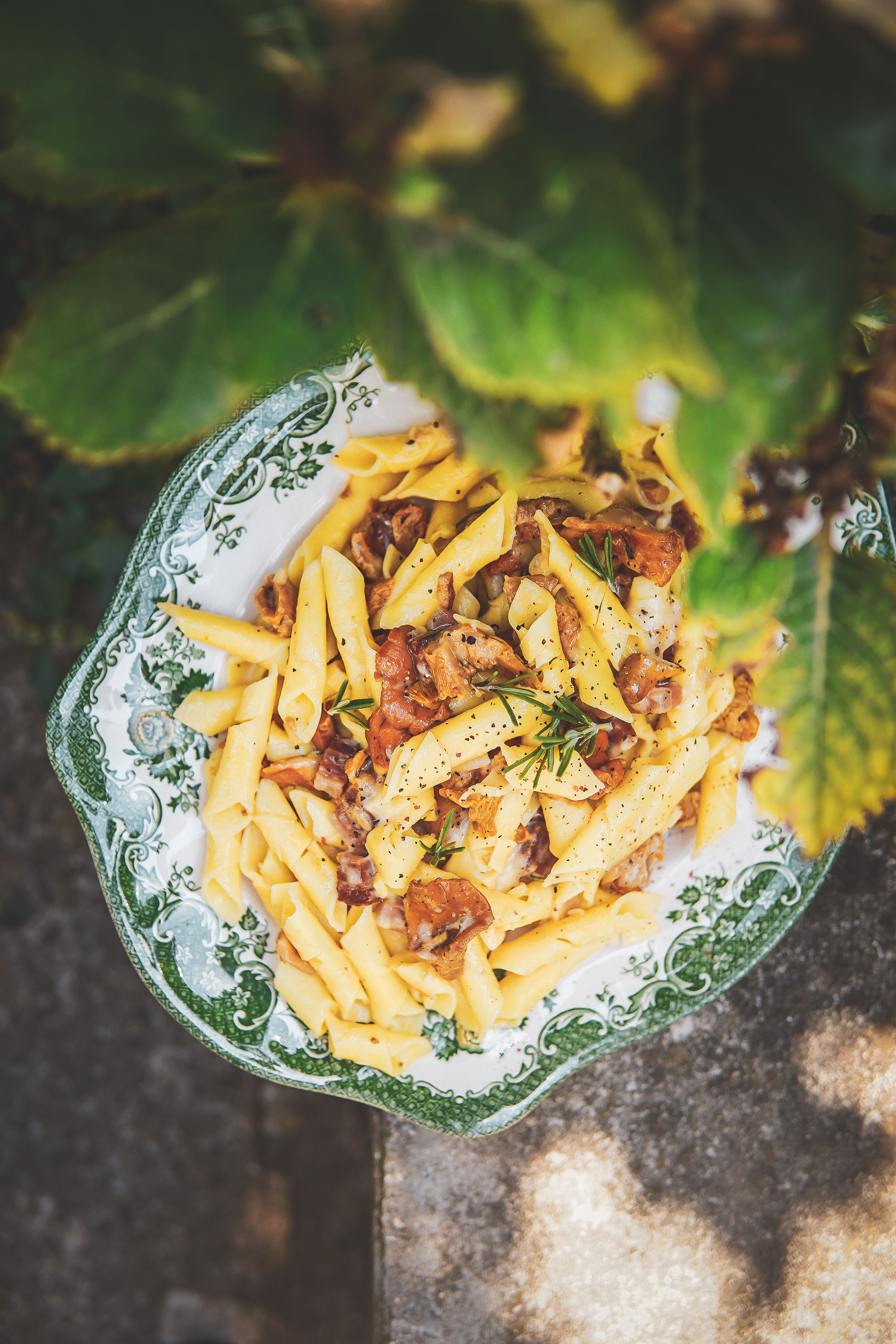 chanterelle pasta photography