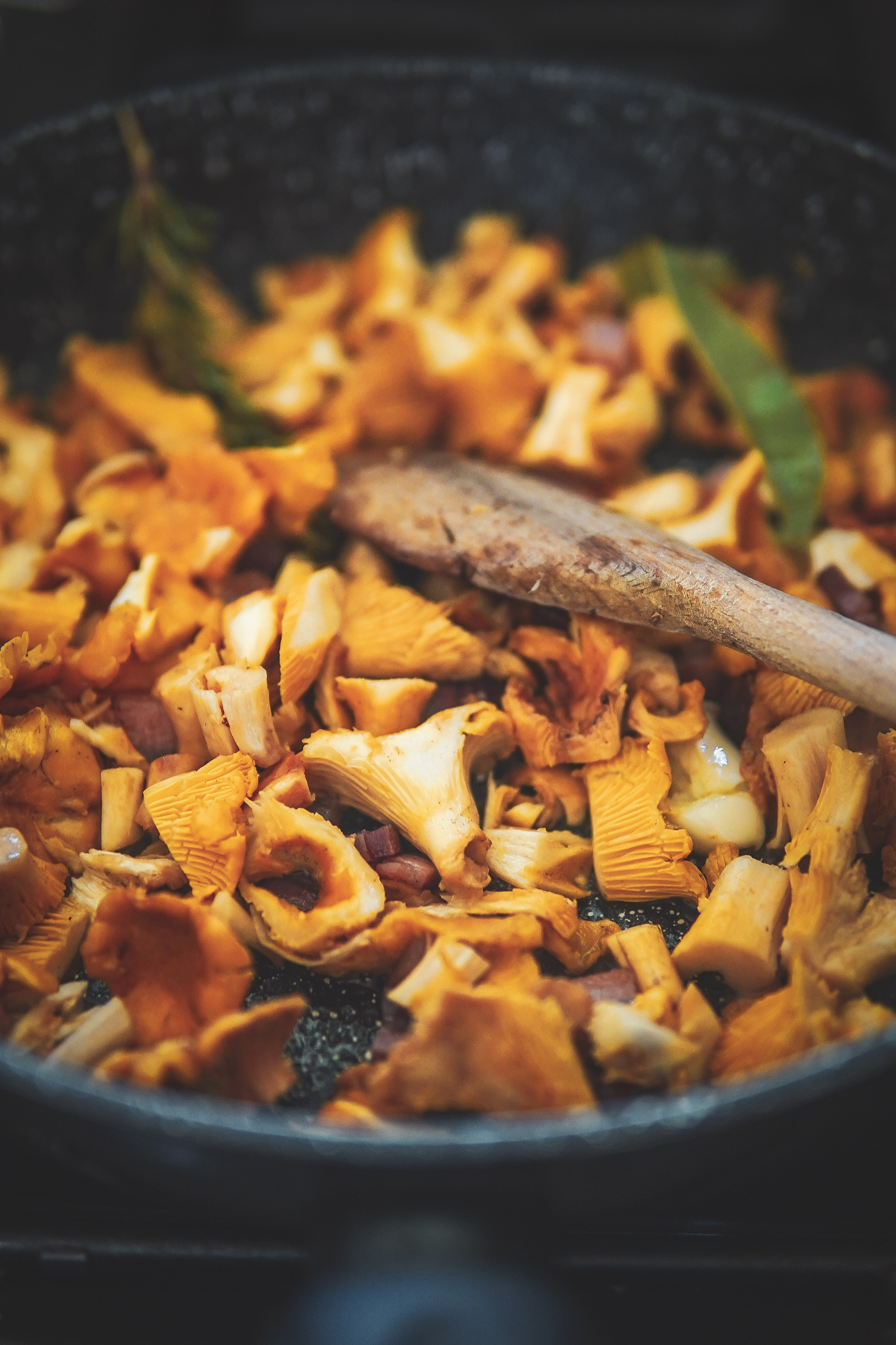 chanterelle pasta photography