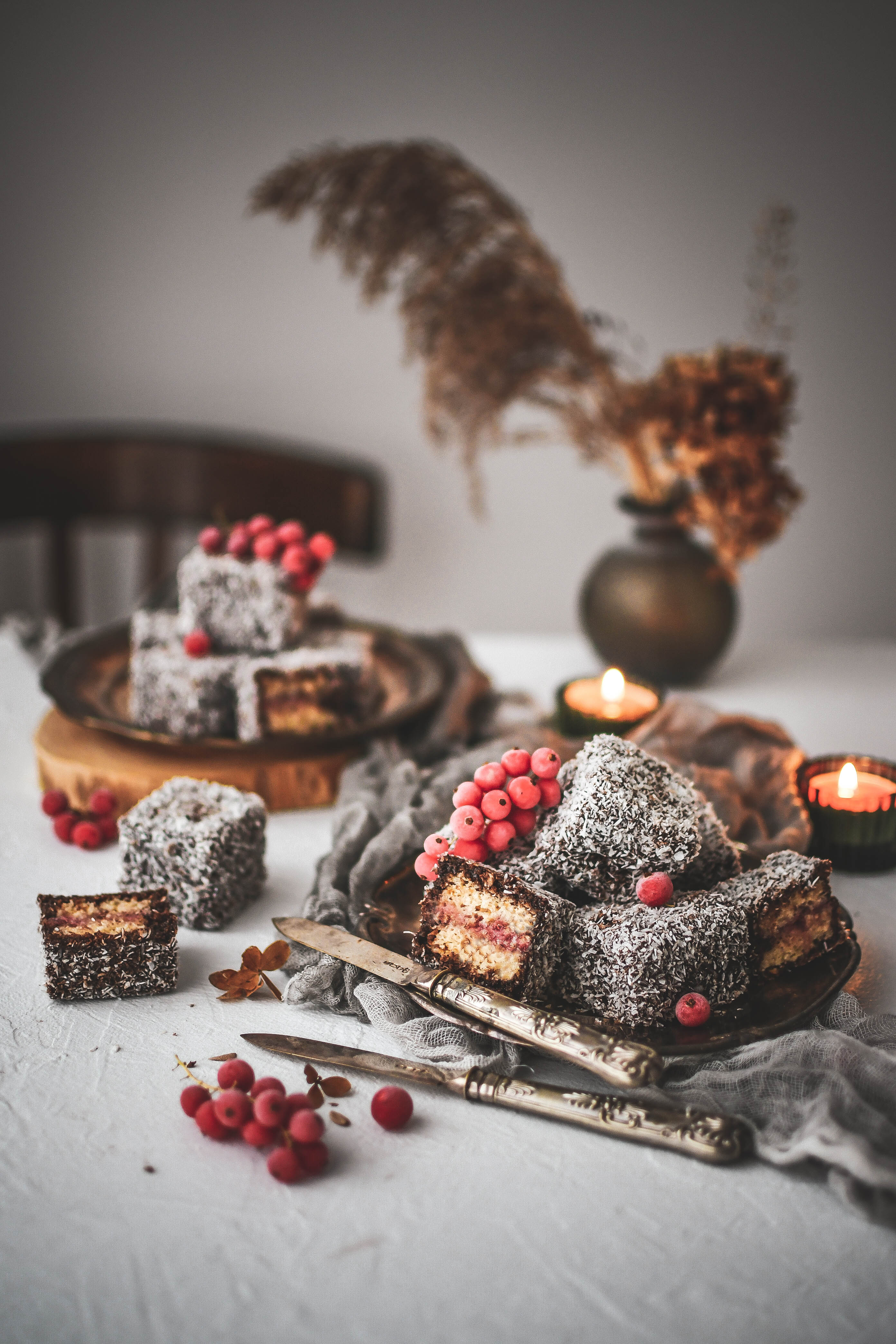 lamingtons kokosove jeze photography