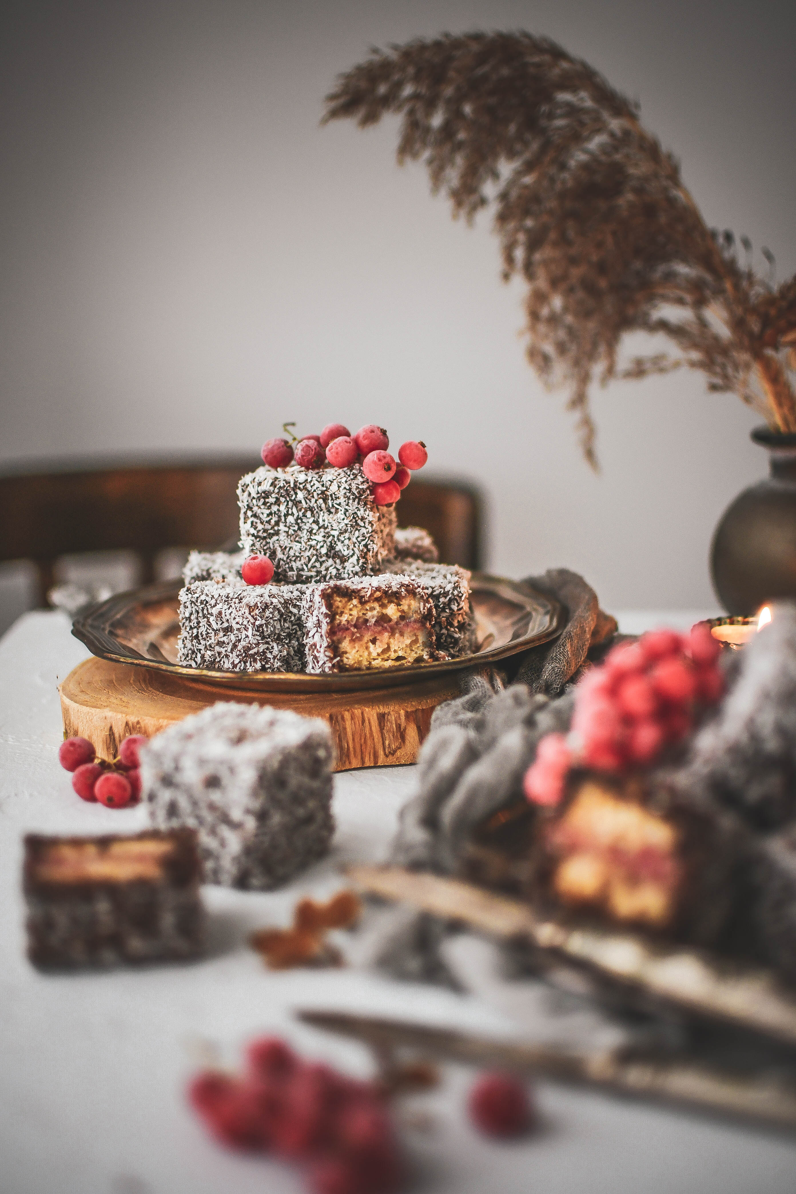 lamingtons kokosove jeze photography