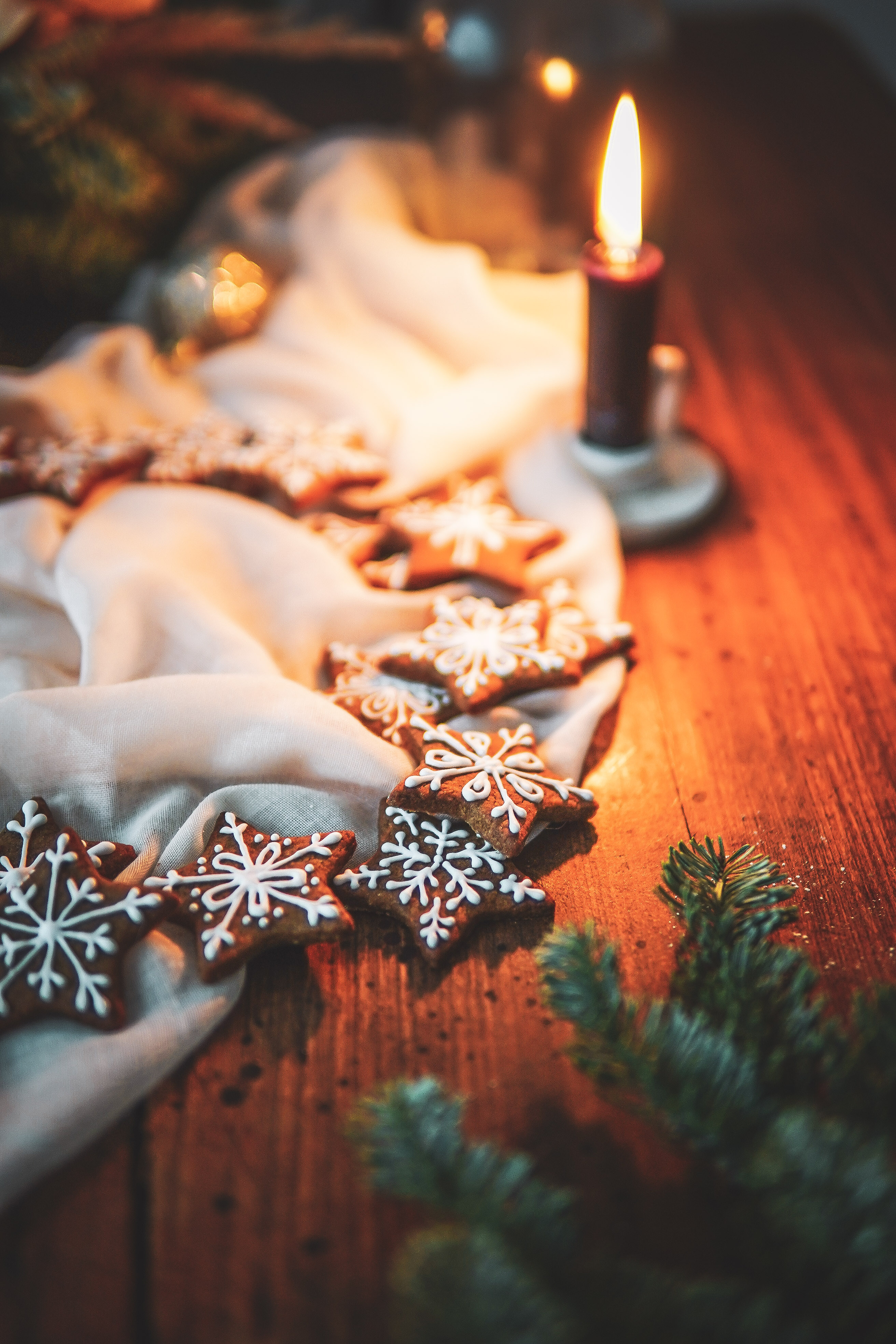 pepparkakor medovniky swedish ginger cookies photography